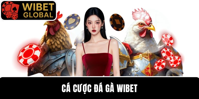 Cá cược đá gà WIBET nhận tiền thưởng hàng tỷ đồng