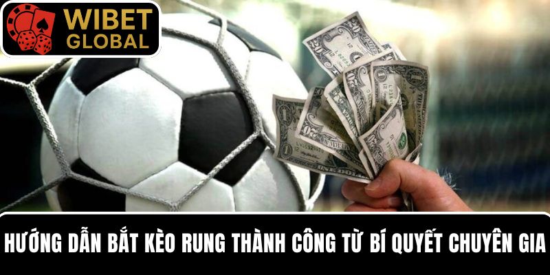 Hướng dẫn bắt kèo rung thành công từ các bí quyết của chuyên gia